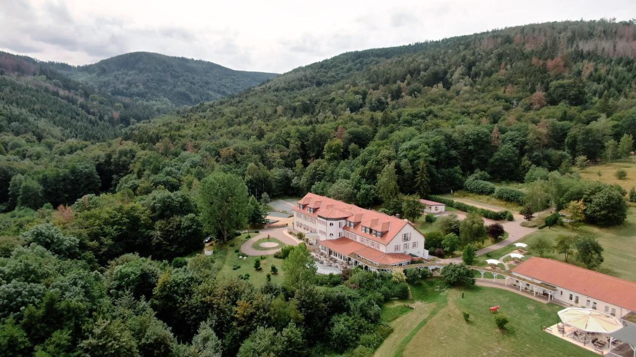 Regiohotel Naturresort Ilsenburg Bagian luar foto